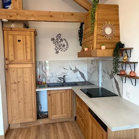 Apartamento Le Perchoir T2 Proche De Geneve